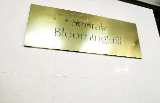 seorak bloominghill