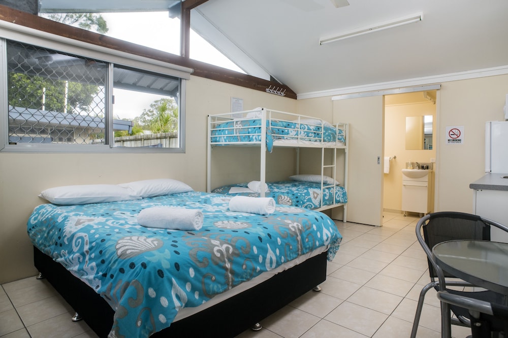 tasman holiday parks torquay palms