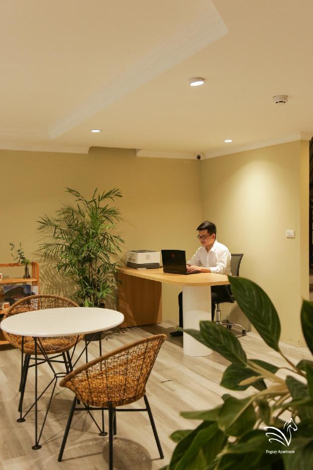 pegasy apartments and travel