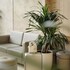 elite hotel nha trang