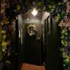 the mad hatter oxford