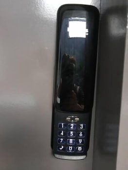 galeria apartamentos