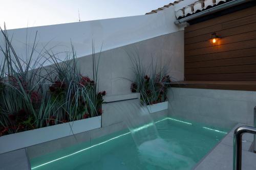 palatina concept suites