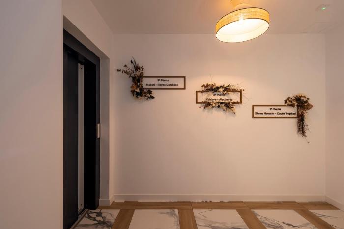palatina concept suites