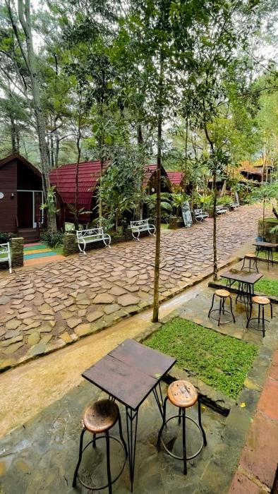pijar resort powered by cocotel