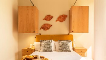 casa insurgentes by kukun