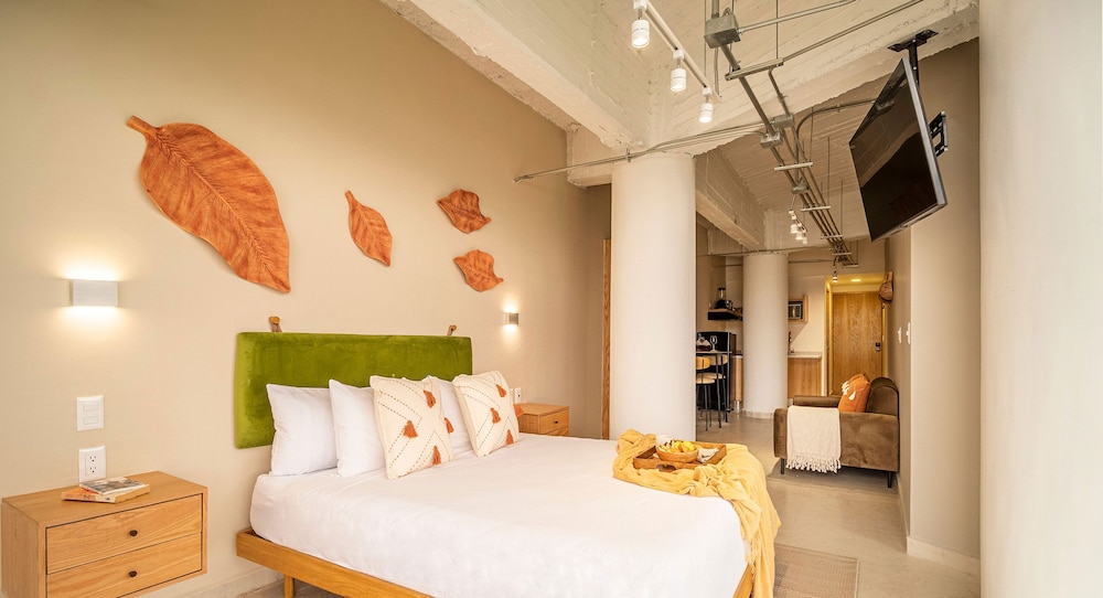 casa insurgentes by kukun