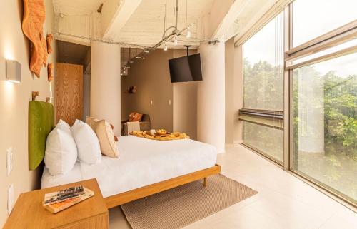 casa insurgentes by kukun