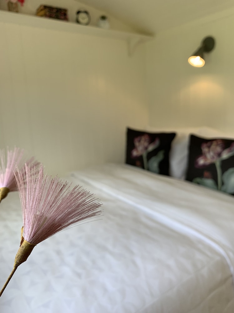 st kew shepherd huts