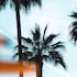 mondrian cannes
