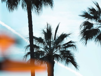 mondrian cannes