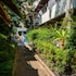 gp house phuket