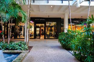 praia hotel boutique miami beach