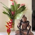claire villa by younger villas and resorts