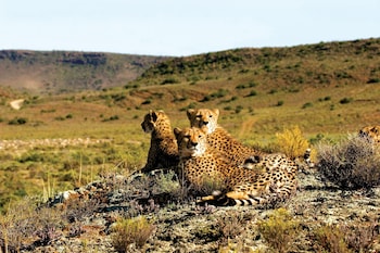 sanbona wildlife reserve