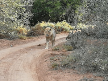 sanbona wildlife reserve
