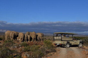 sanbona wildlife reserve