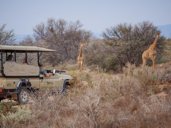 sanbona wildlife reserve