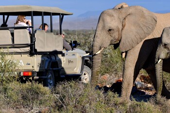 sanbona wildlife reserve