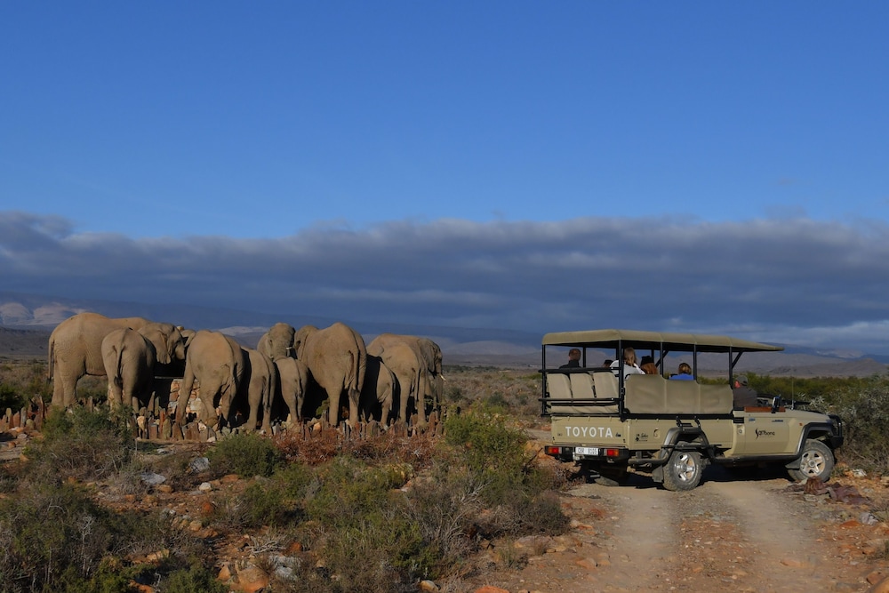 sanbona wildlife reserve