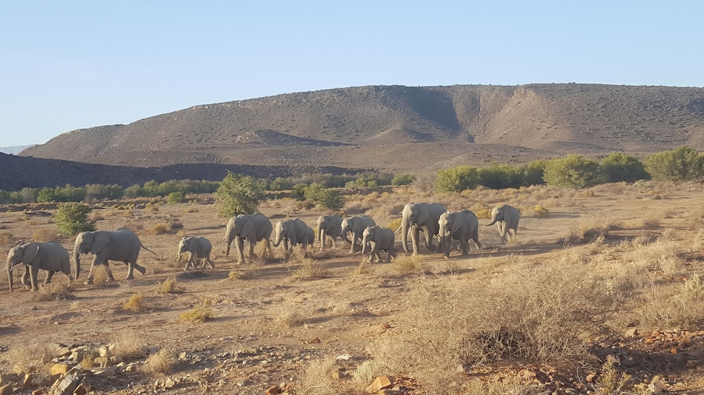 sanbona wildlife reserve