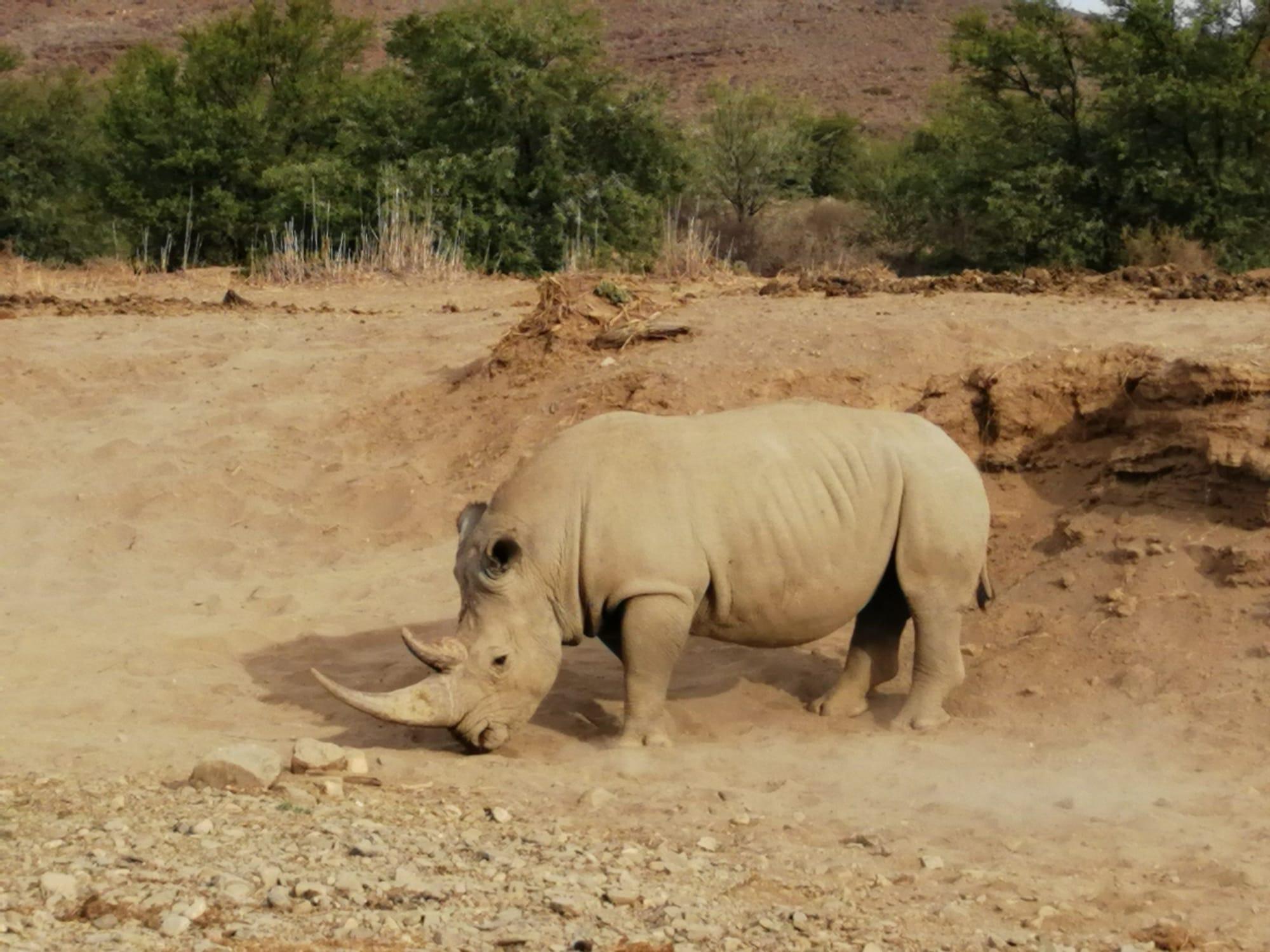 Sanbona Wildlife Reserve,Breede River>>Barrydale,5 star