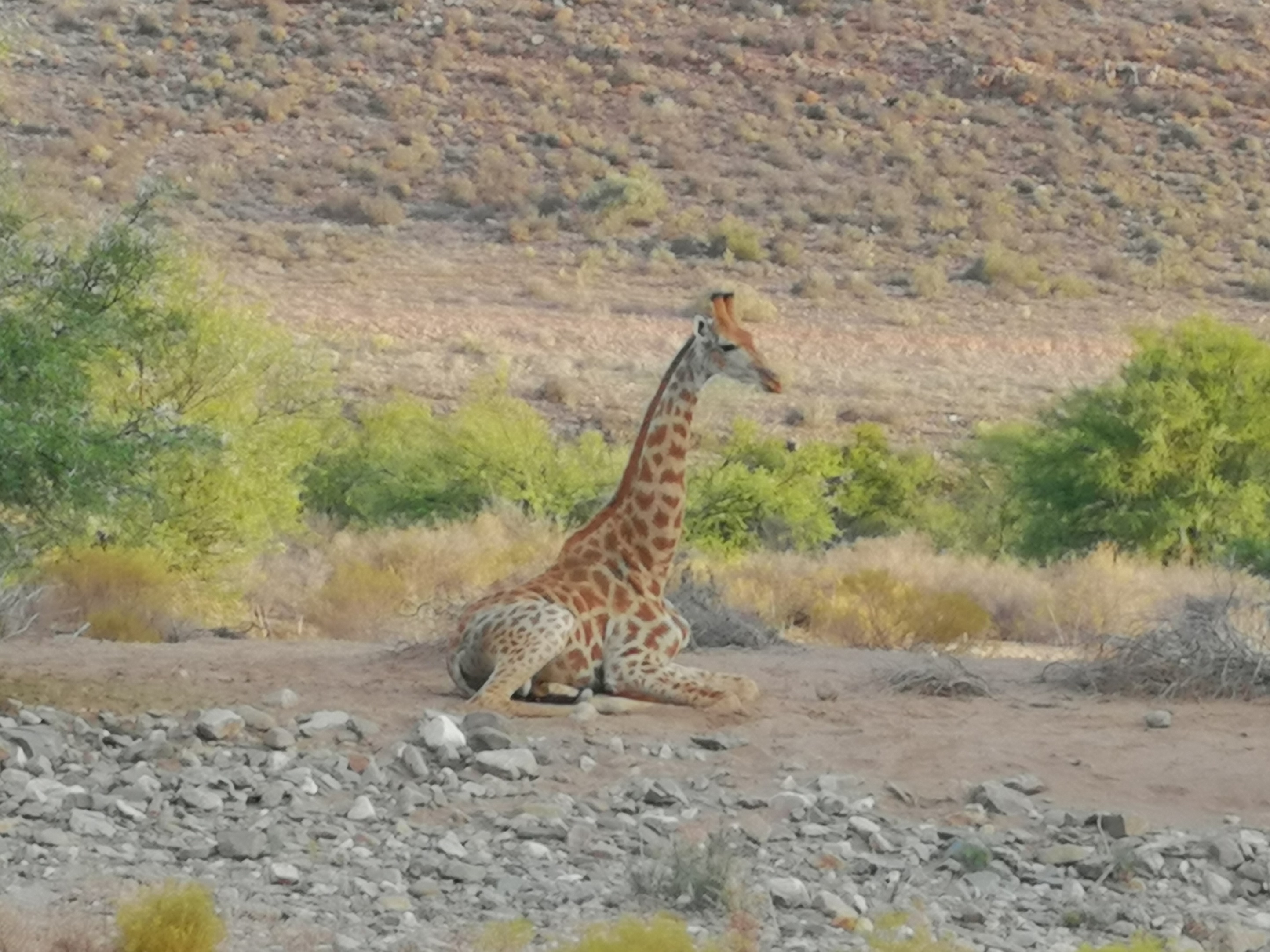 Sanbona Wildlife Reserve,Breede River>>Barrydale,5 star