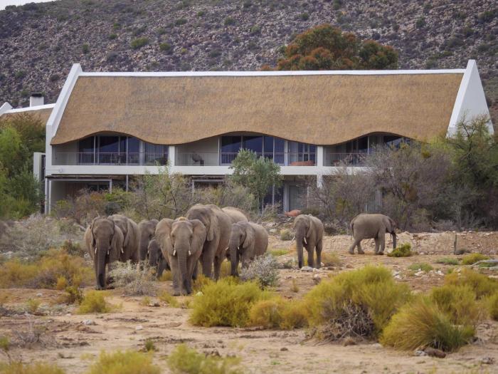 sanbona wildlife reserve