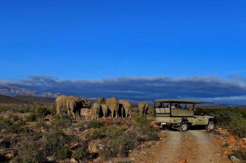 barrydale