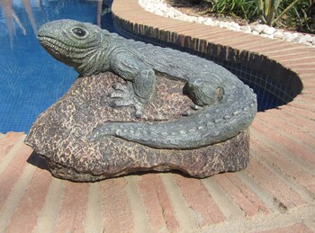 la casa palmera caminito del rey