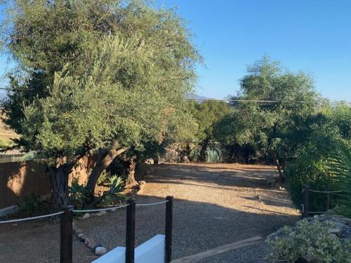 la casa palmera caminito del rey