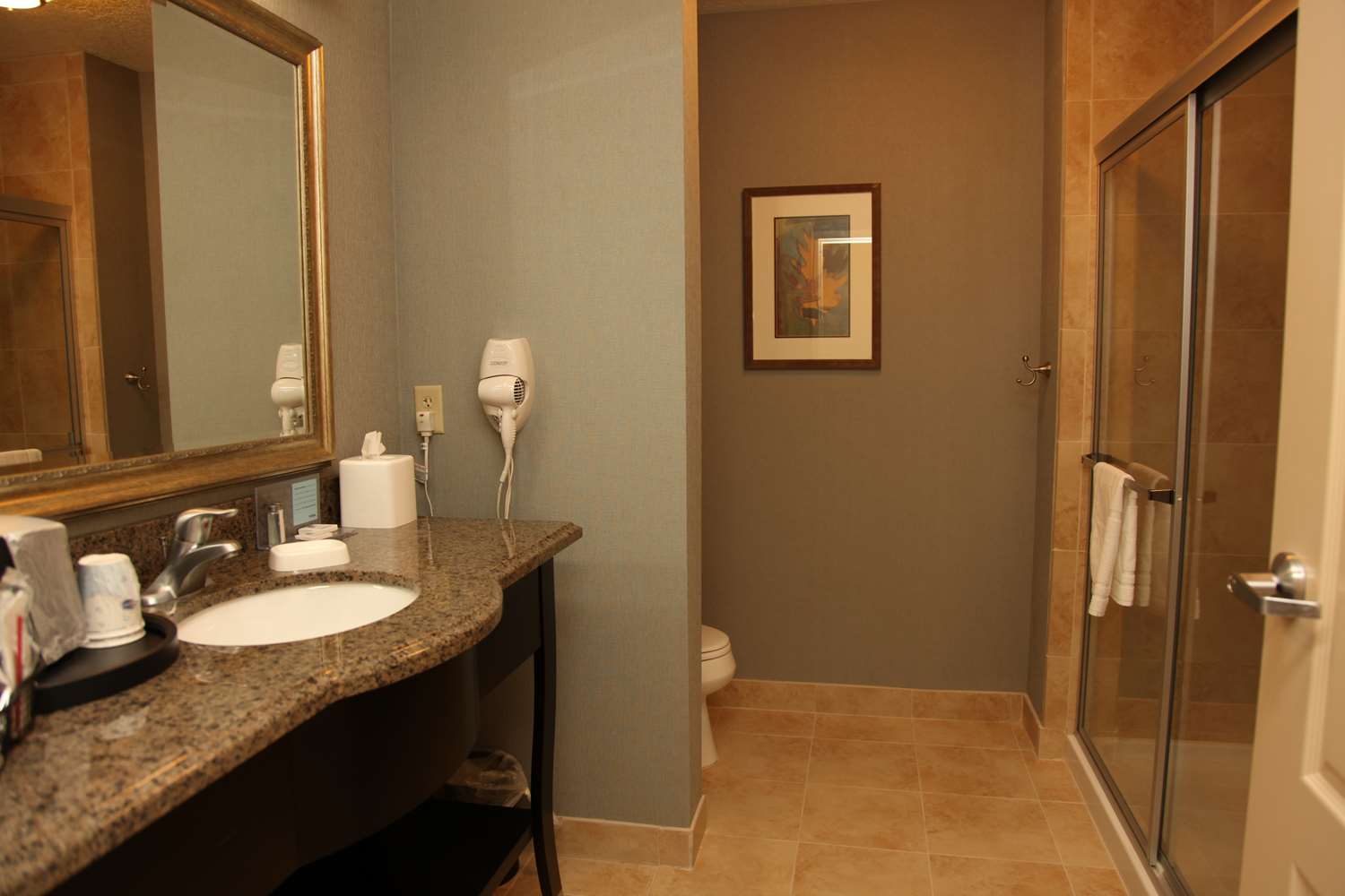 hampton inn and suites carlsbad