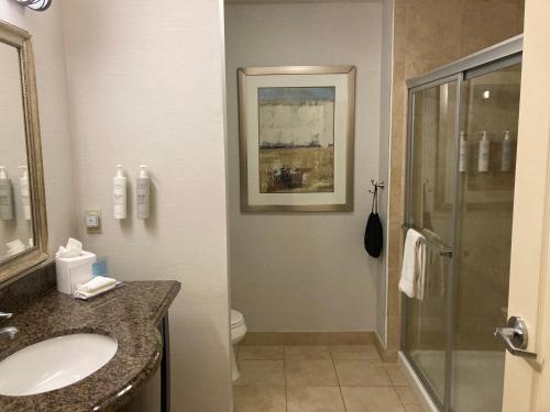 hampton inn and suites carlsbad