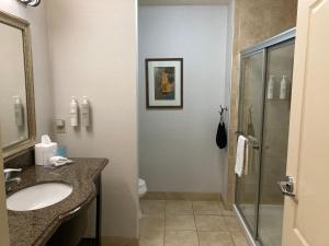 hampton inn and suites carlsbad