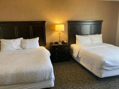 hampton inn and suites carlsbad