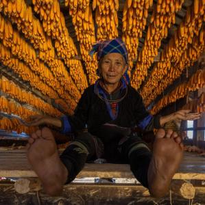 ha giang yolo house and loop tours