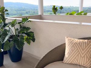 sao joao batista do gloria