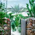danka vacation home