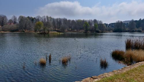 dunkeld east