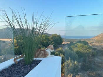 cortijo boutique siete calas