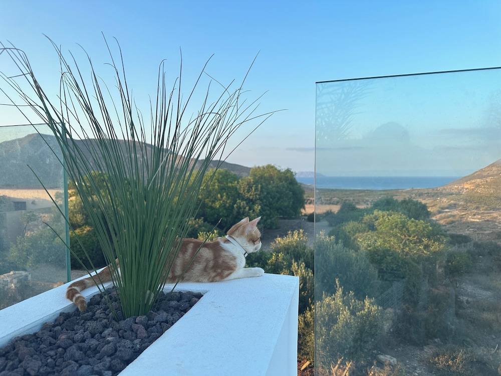 cortijo boutique siete calas