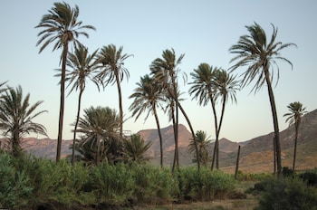 cortijo boutique siete calas
