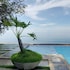 sea horizon resort