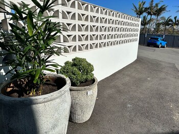 surf beach motel newcastle