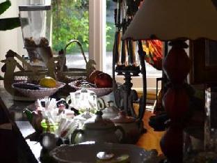 le domaine du chene vert