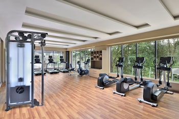 coorg marriott resort and spa