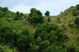 kingkost kenari kudus