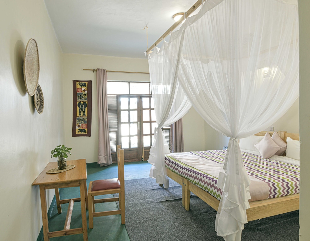 cycad entebbe guest house