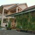 cycad entebbe guest house