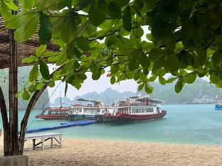 cat ba island
